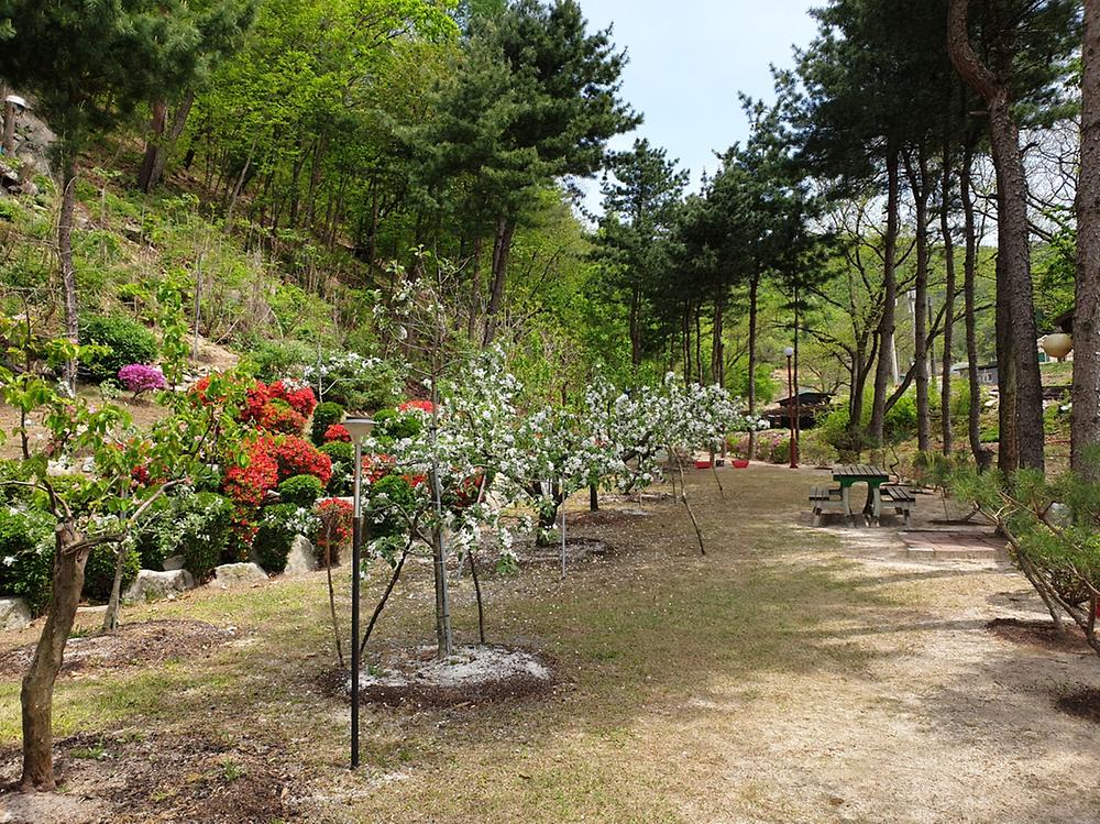 도전캠핑장