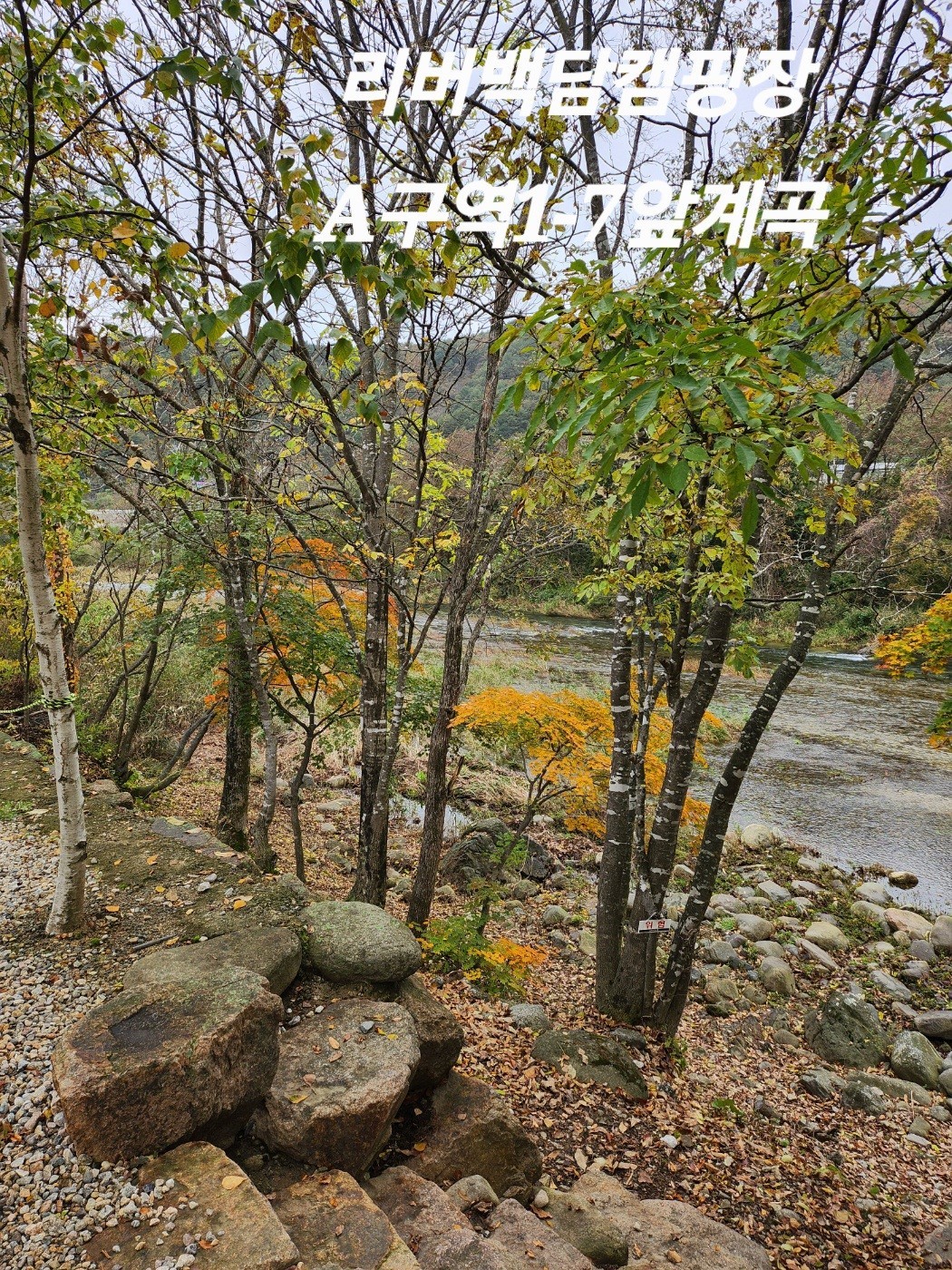 리버백담 캠핑장