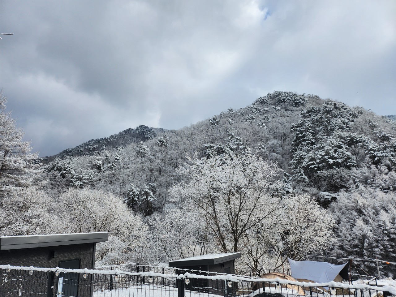 홈사리캠핑장