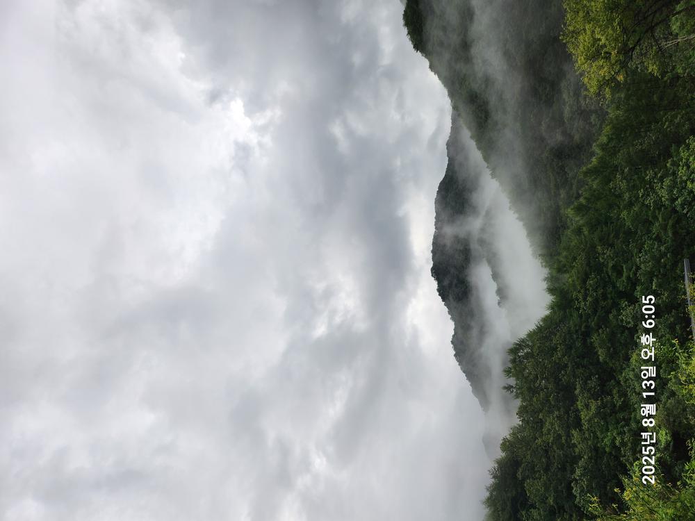 홈사리캠핑장
