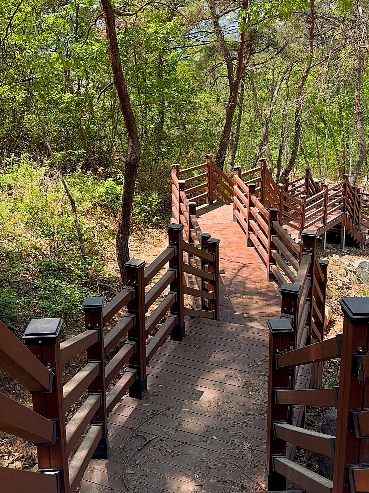 의성단밀숲속야영장