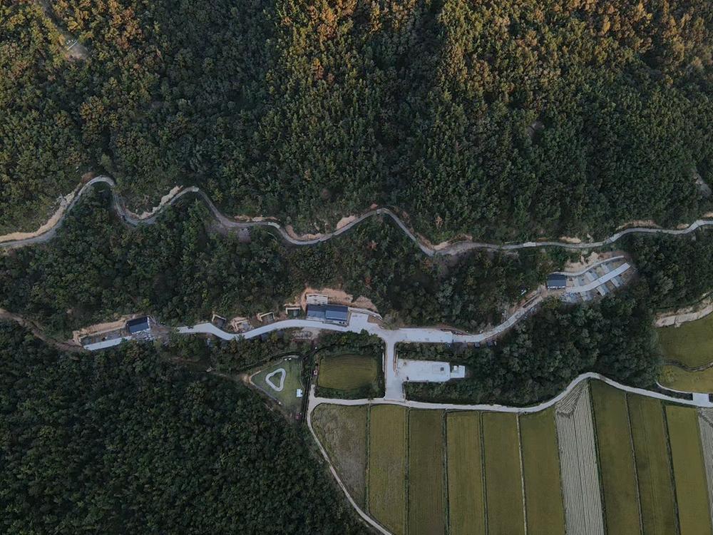 의성단밀숲속야영장