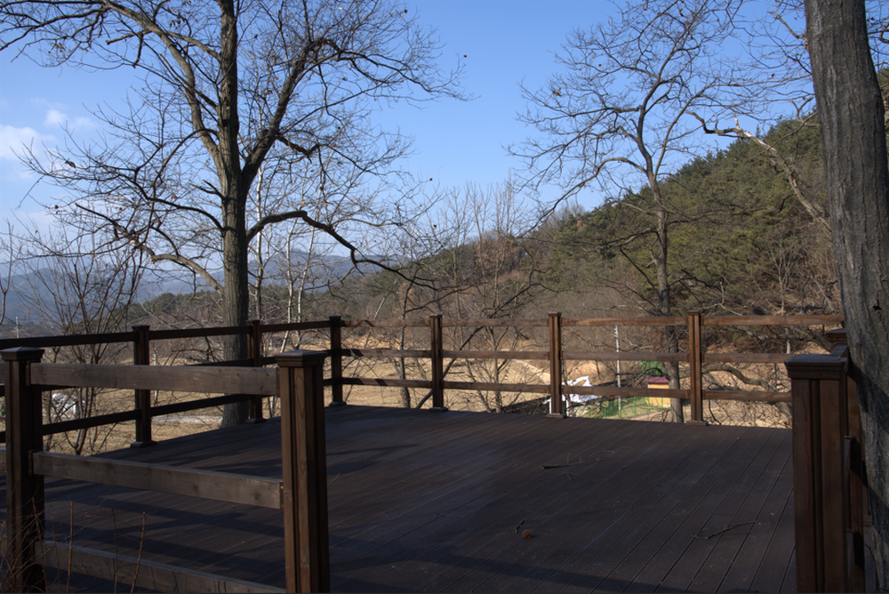 의성단밀숲속야영장