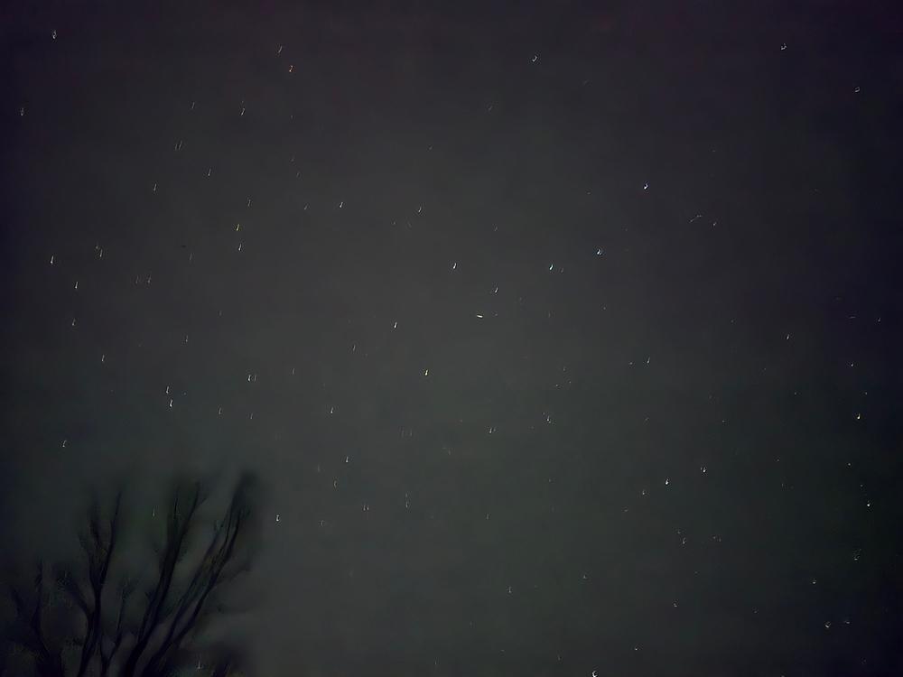 의성단밀숲속야영장