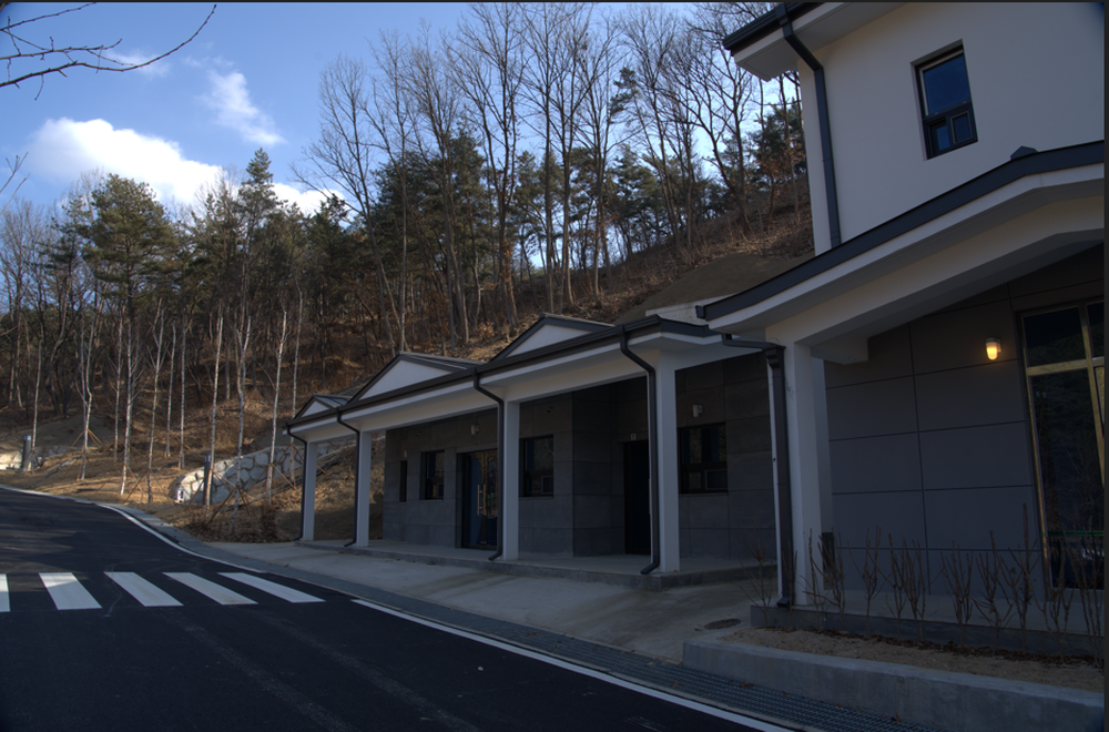 의성단밀숲속야영장