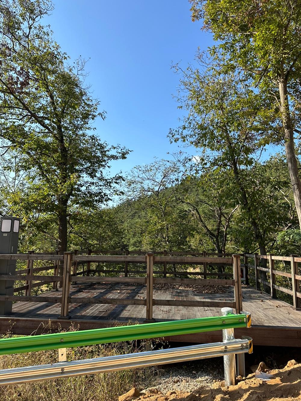 의성단밀숲속야영장