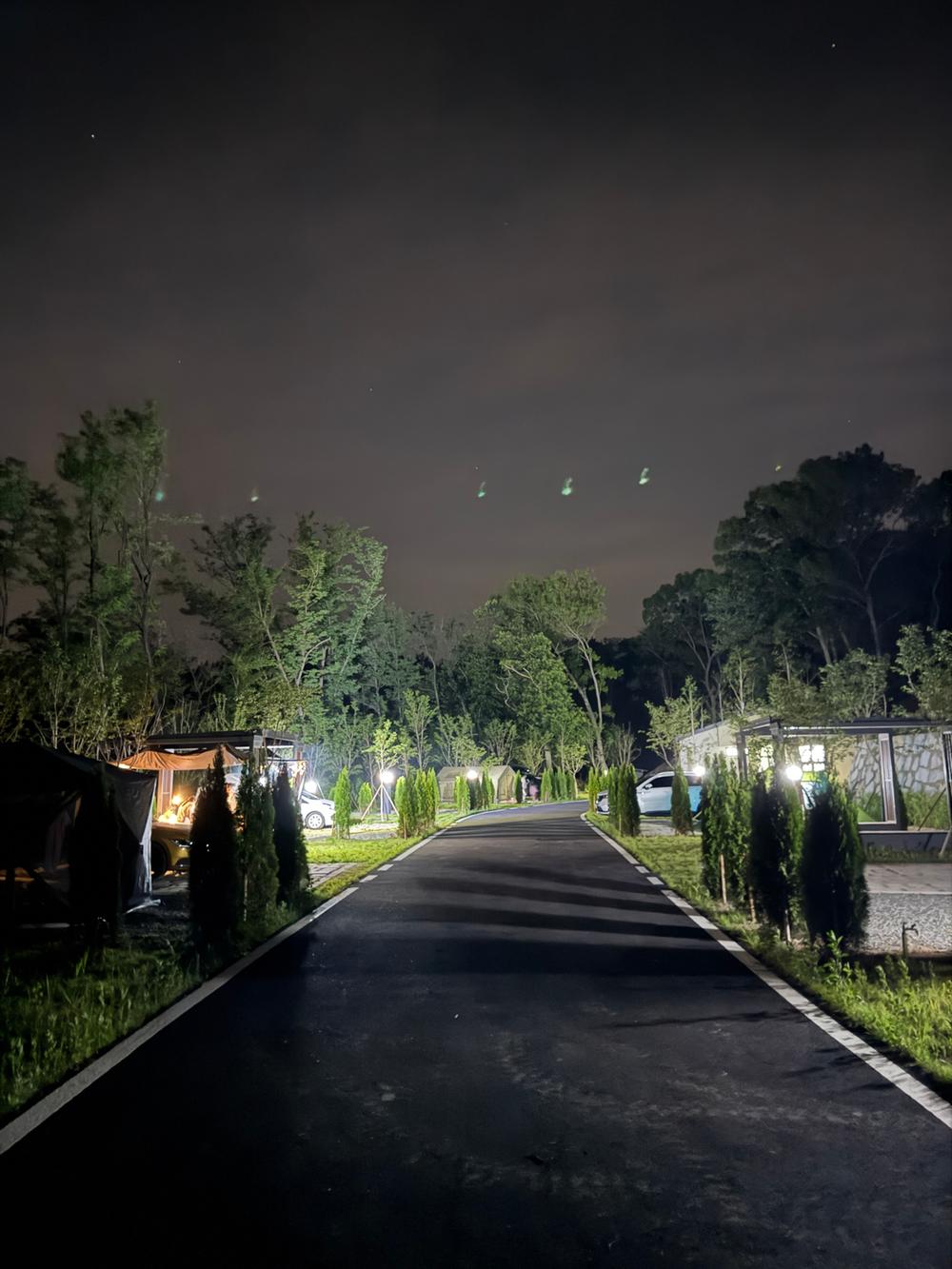 의성단밀숲속야영장