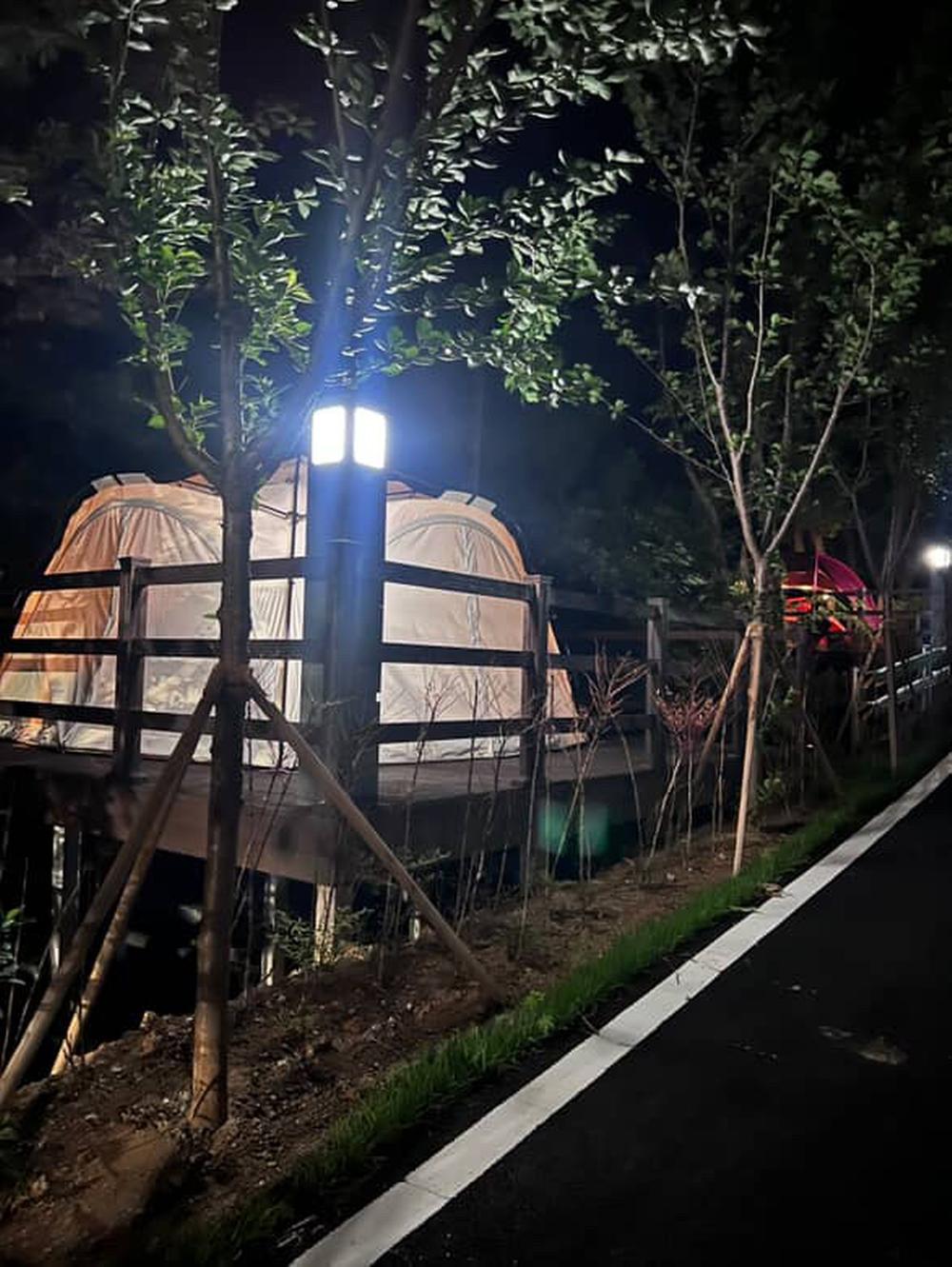 의성단밀숲속야영장