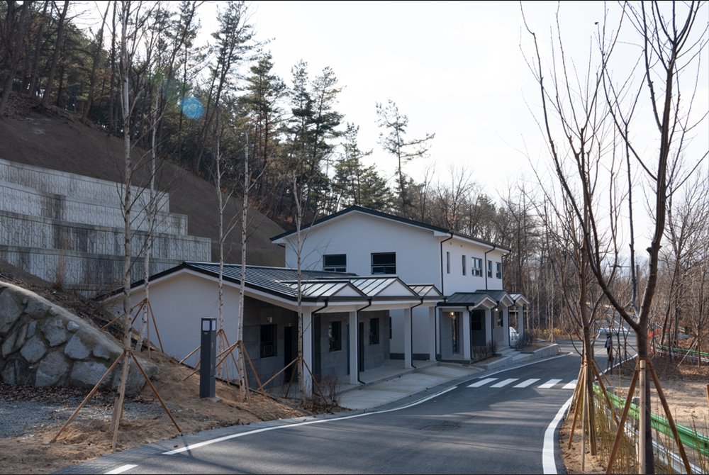 의성단밀숲속야영장