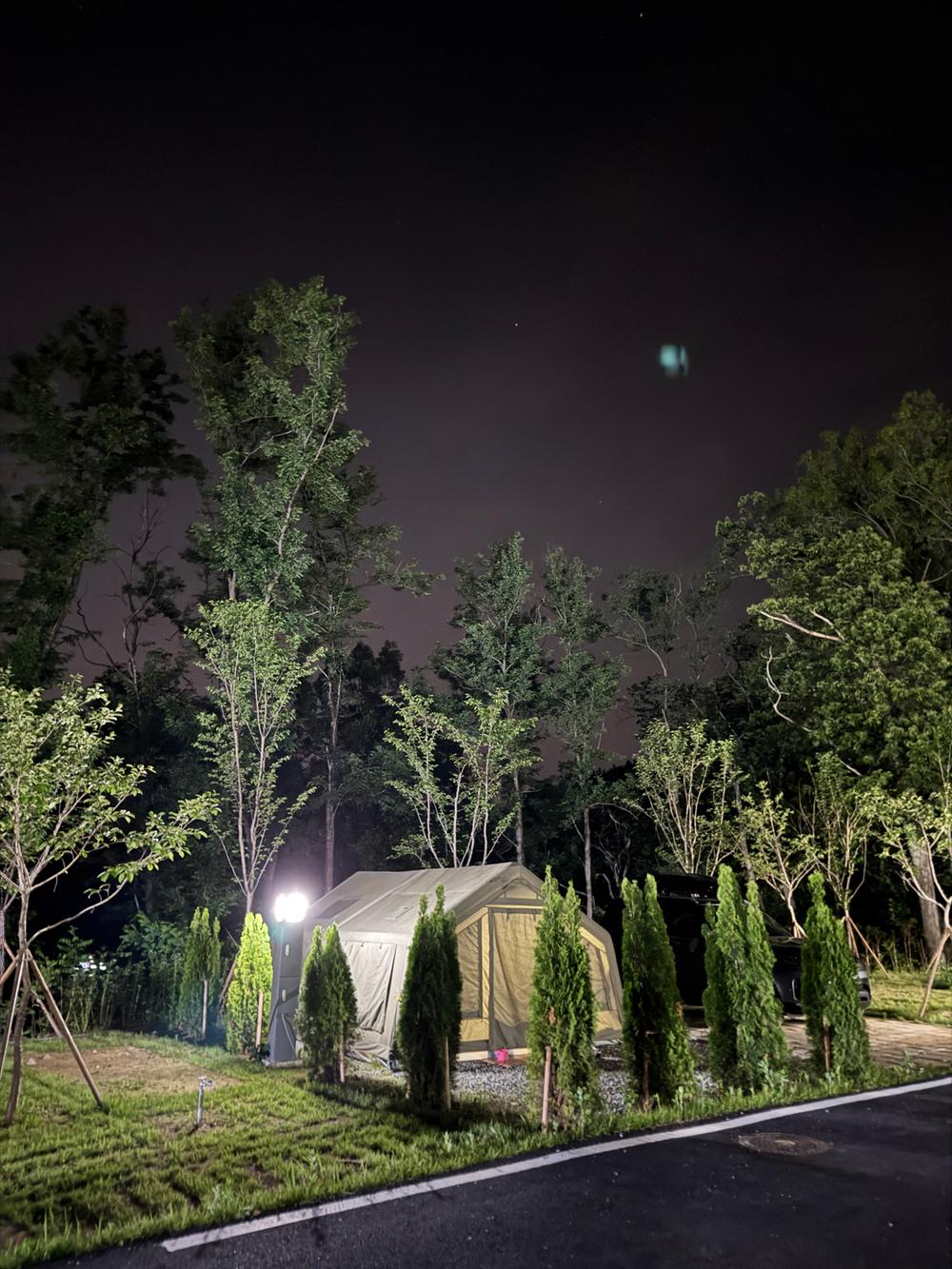 의성단밀숲속야영장