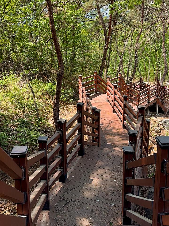 의성단밀숲속야영장