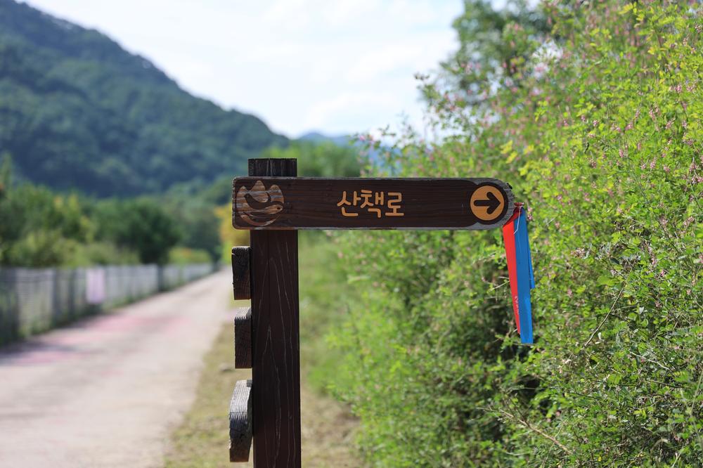 한계령 힐링 캠핑장