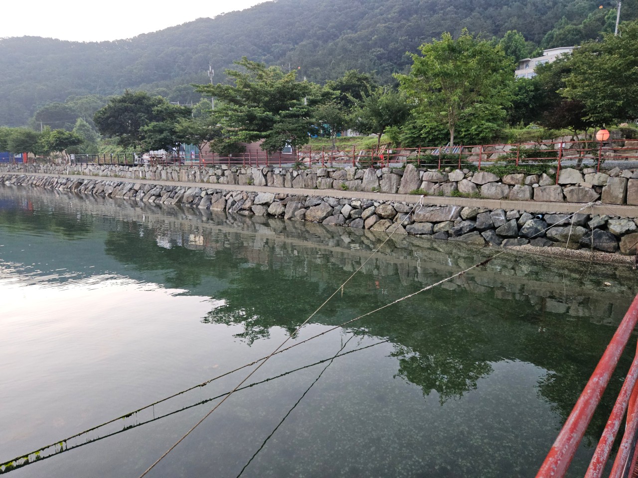초록바다 캠핑장