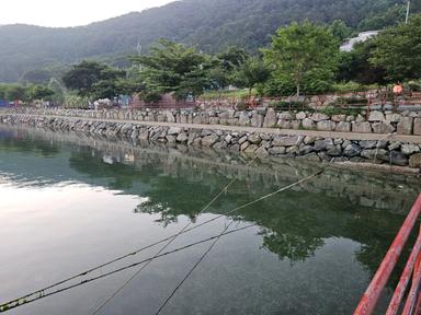 캠핑장소개 이미지