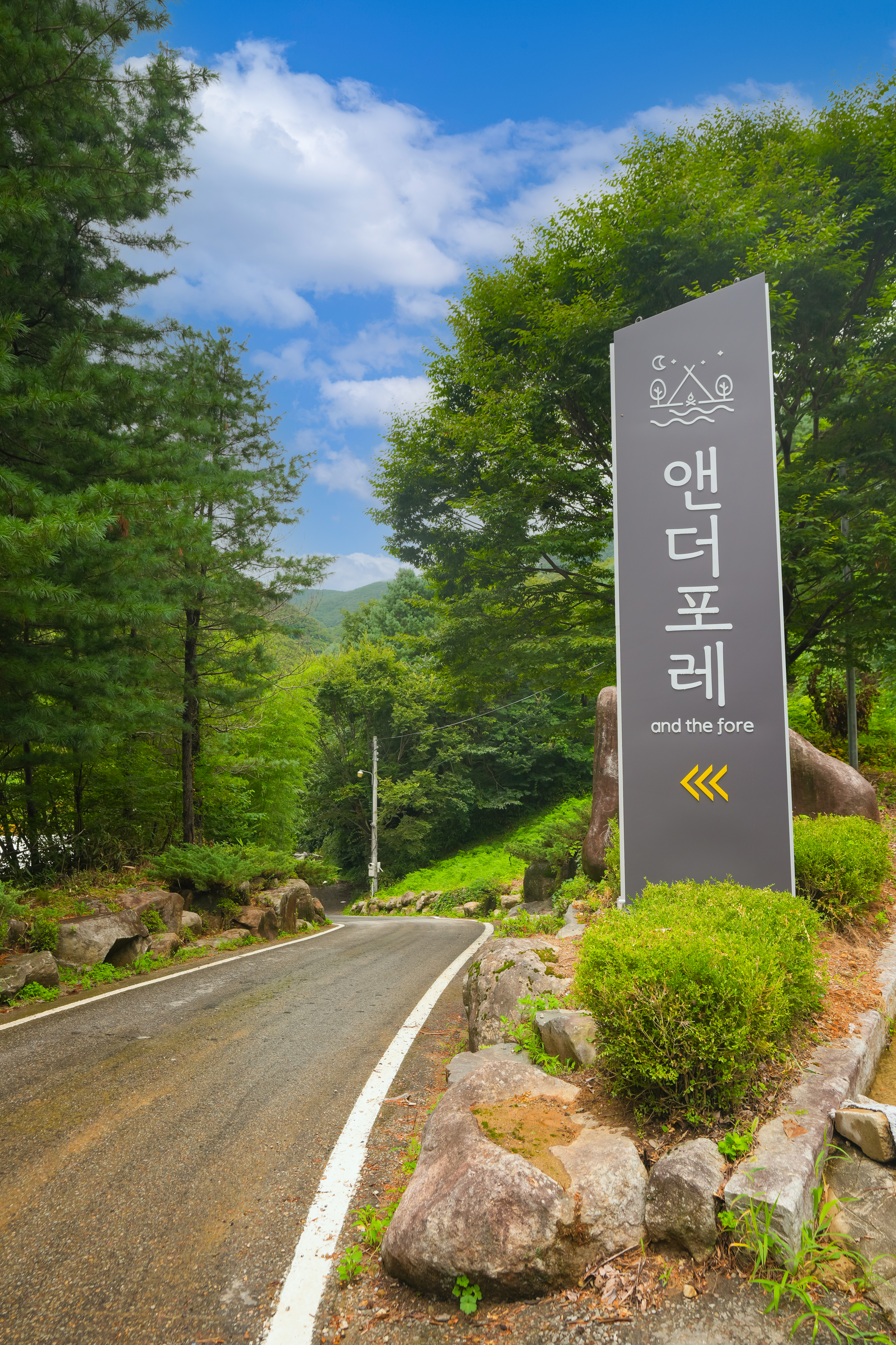 앤더포레