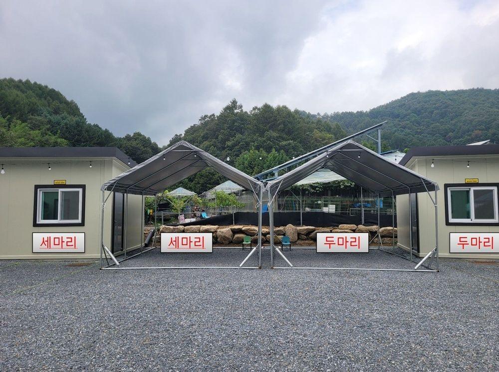 미꾸라지 캠핑장