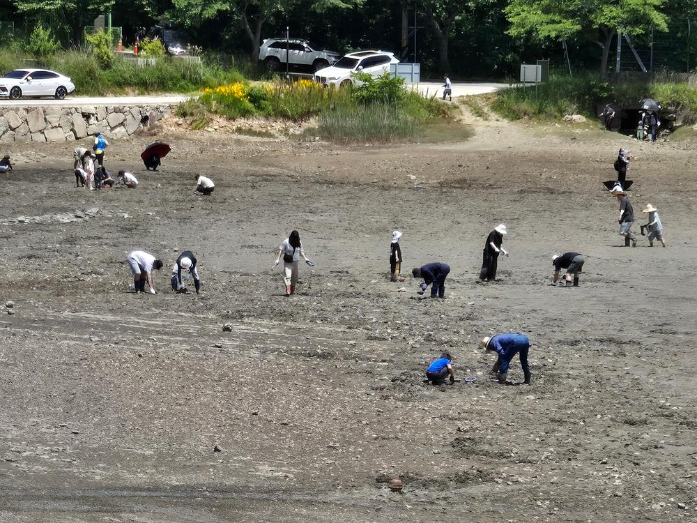 고성동화캠핑