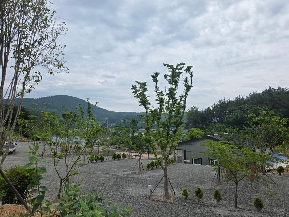 고성동화캠핑