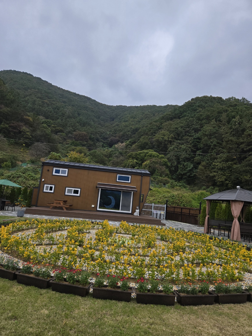 달빛소나타