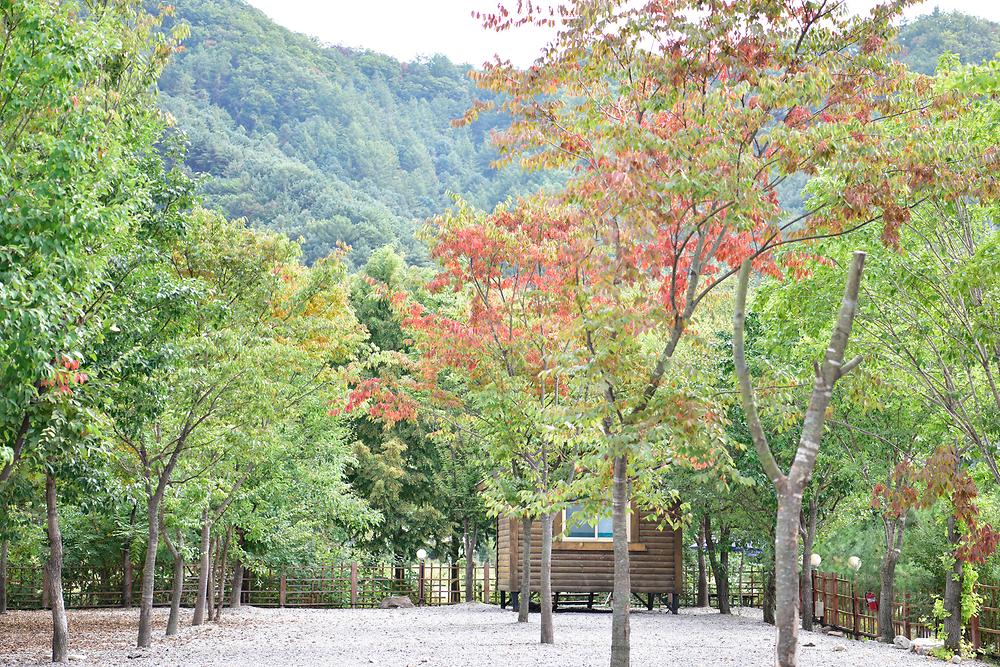 가평사계절캠핑장