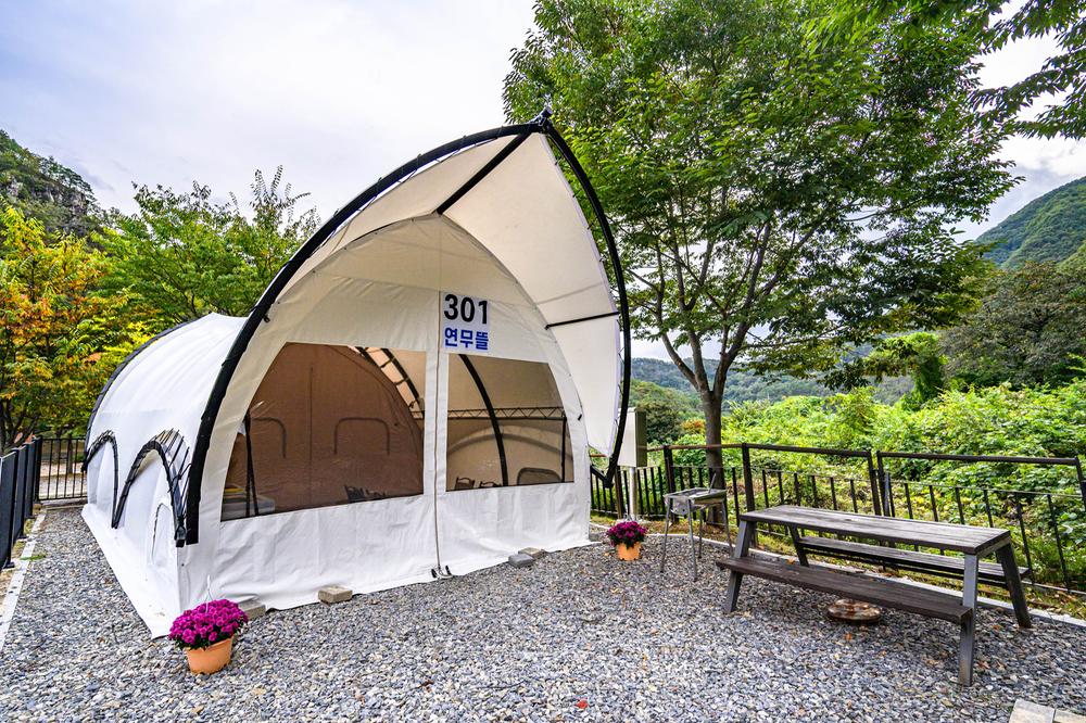 청량산 수원캠핑장