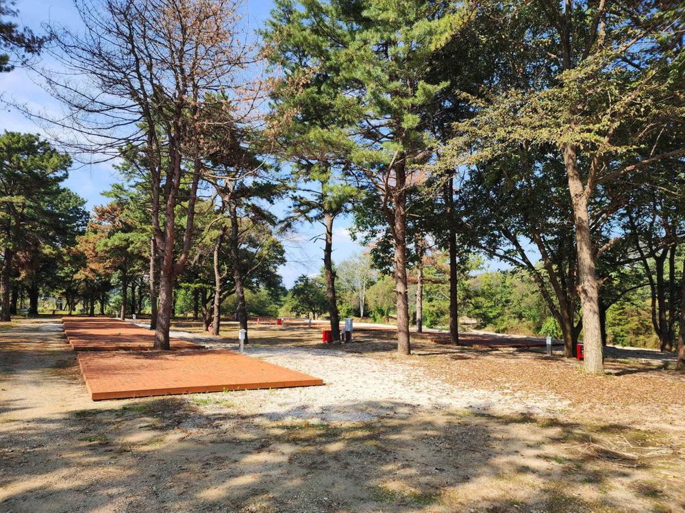 팜파스농원
