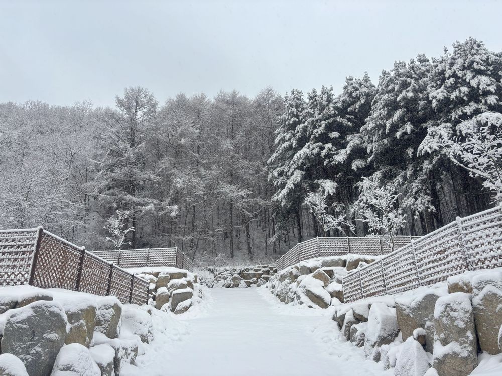 고슬로우 캠핑장