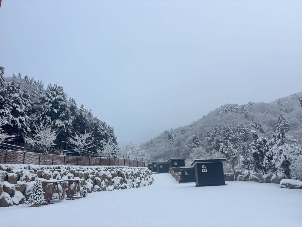 고슬로우 캠핑장