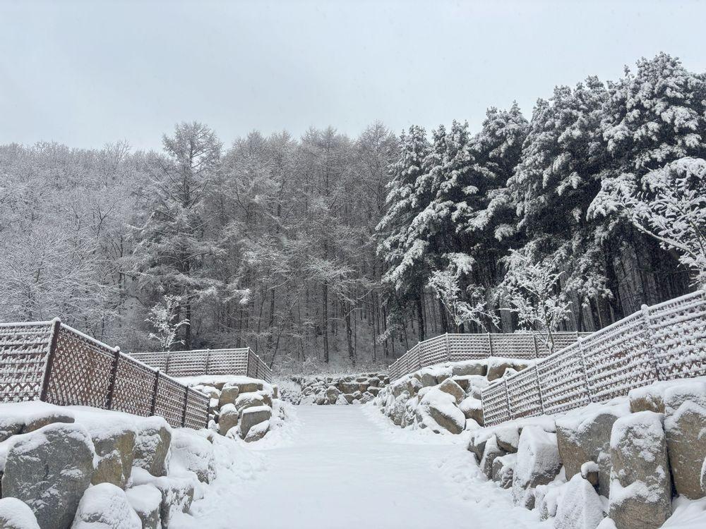 고슬로우 캠핑장