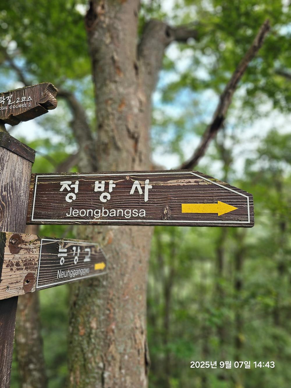아웃오프 글램핑
