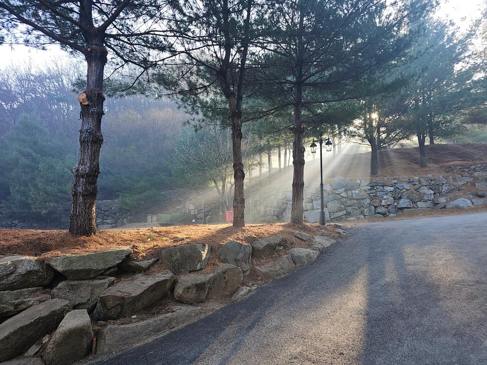 (에드203) 플라네캠핑장