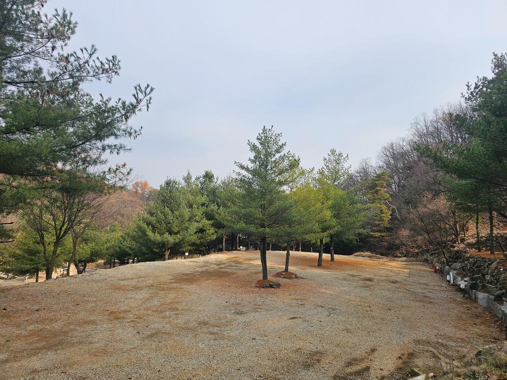 (에드203) 플라네캠핑장