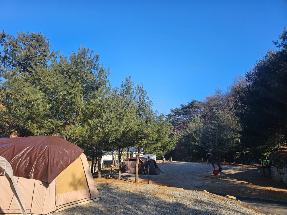(에드203) 플라네캠핑장