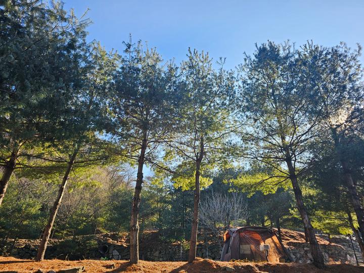(에드203) 플라네캠핑장 메인 이미지