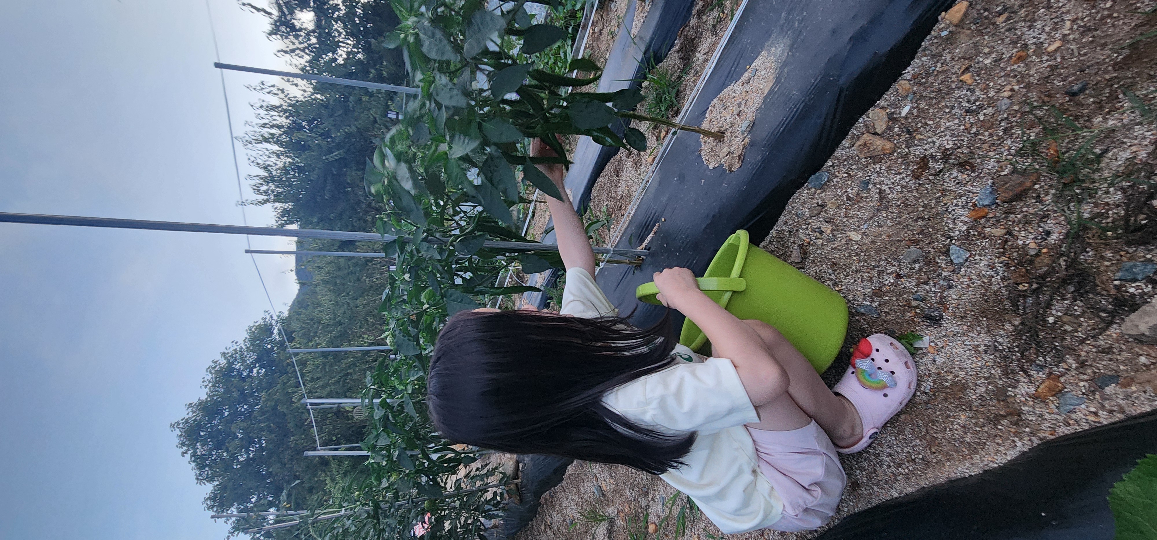 수안보 동그라미 캠핑장