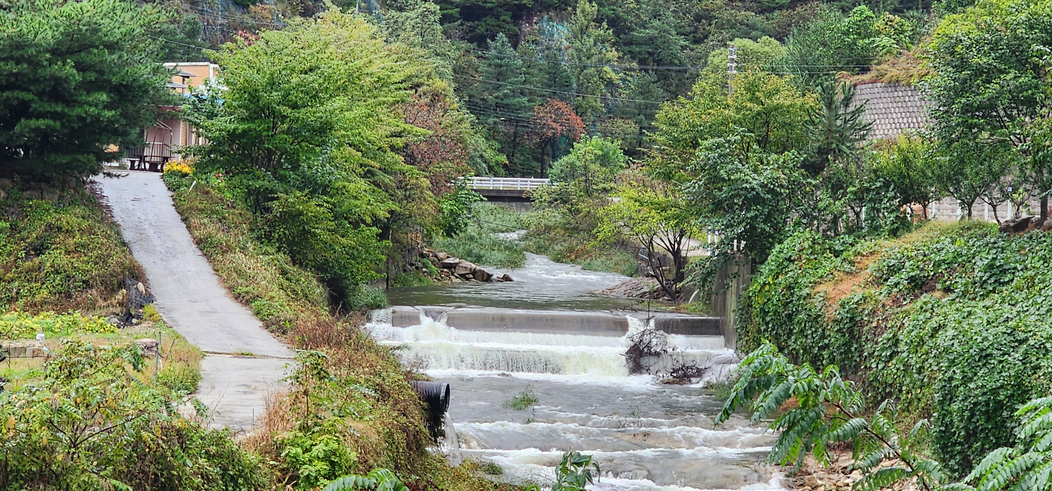 수안보 동그라미 캠핑장