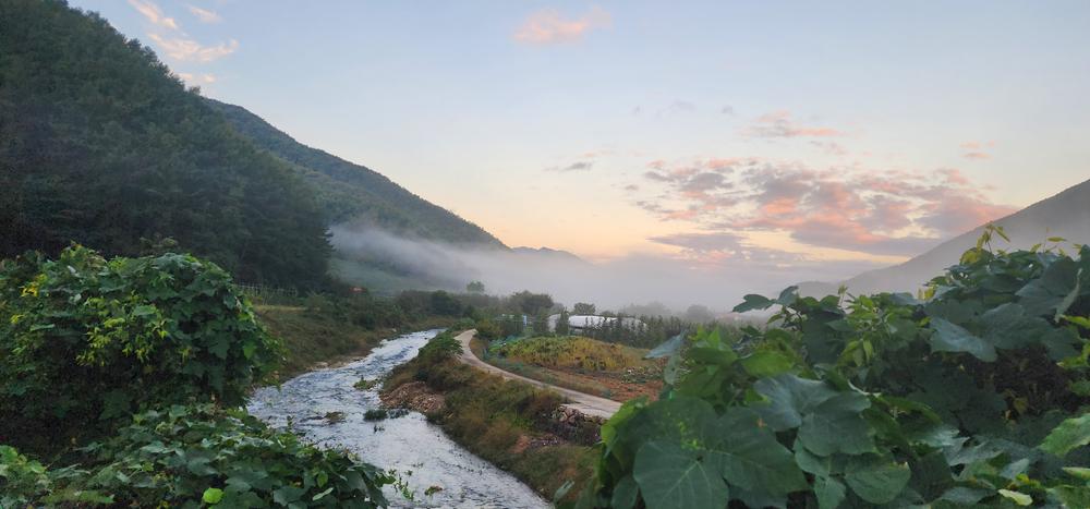 수안보 동그라미 캠핑장