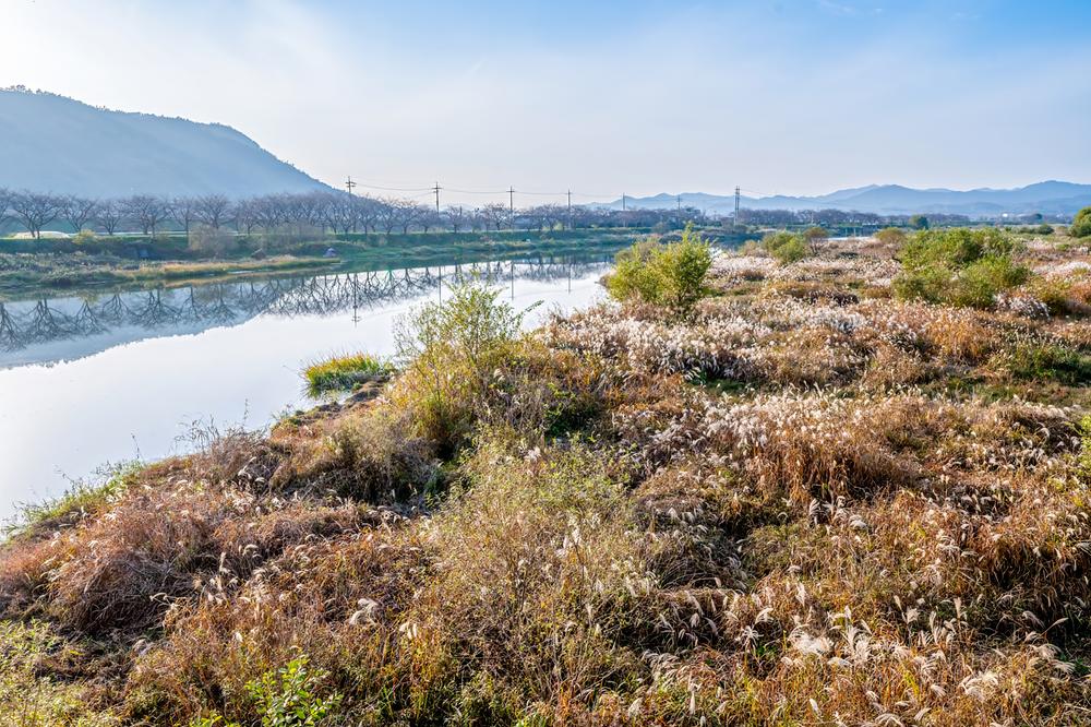 영벽정오토캠핑장