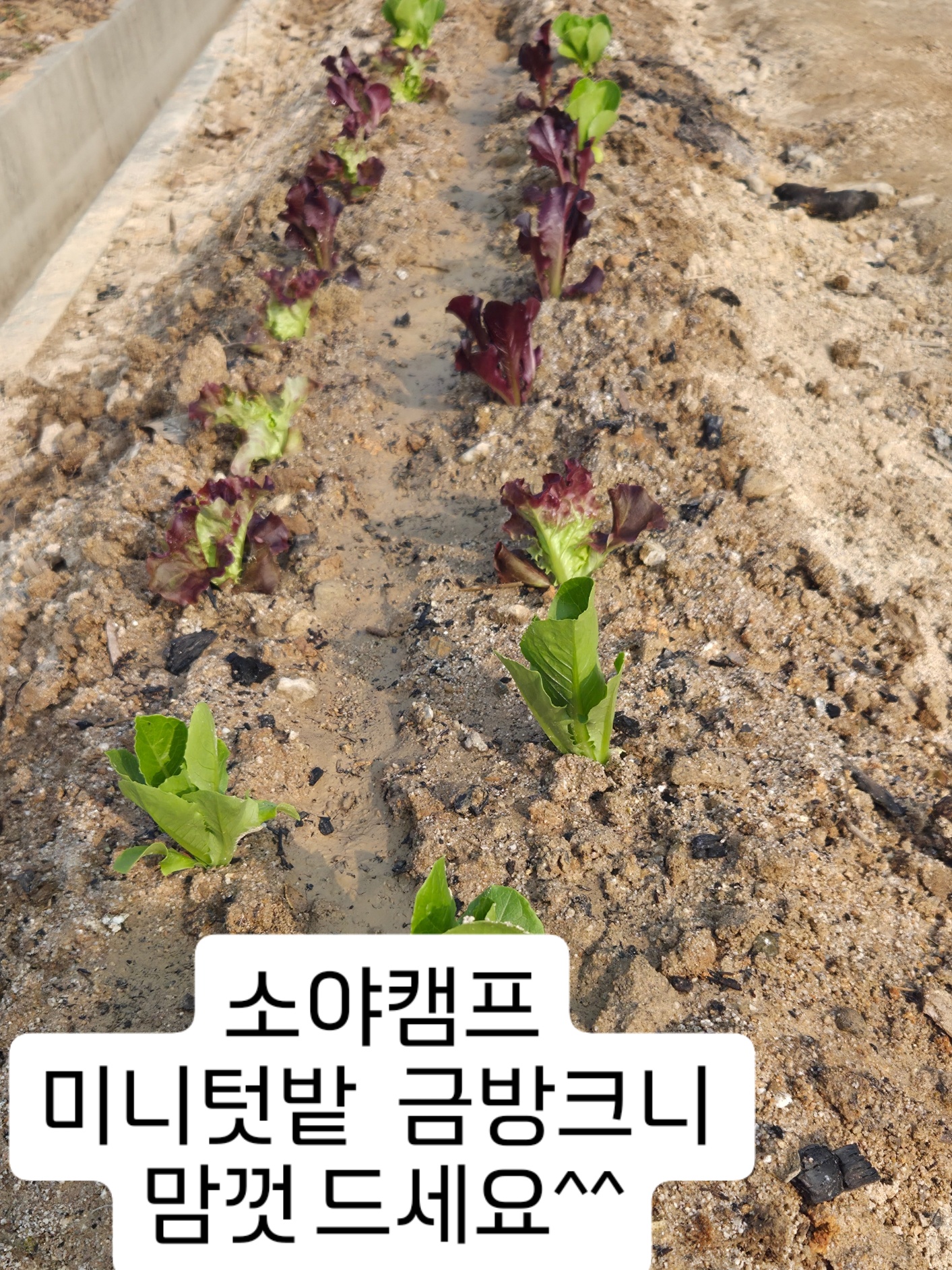 소야캠프