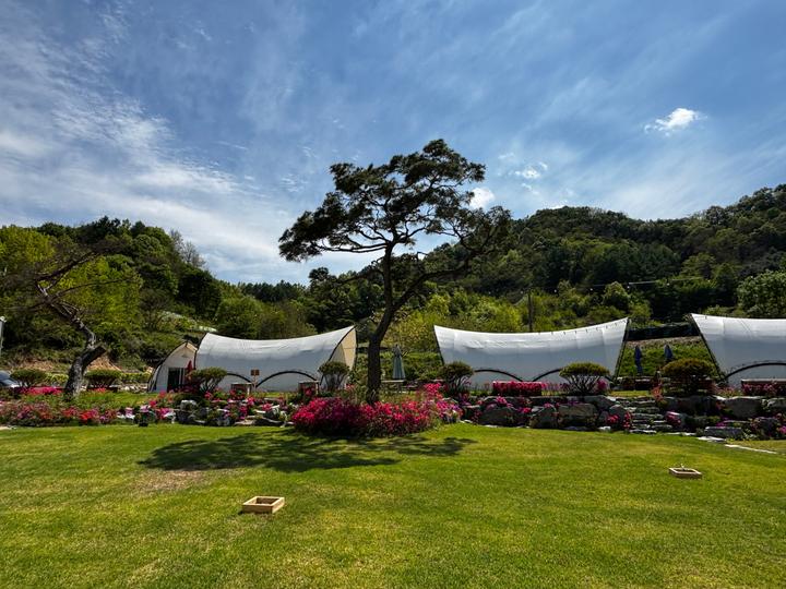 금산 우디즘 글램핑 메인 이미지