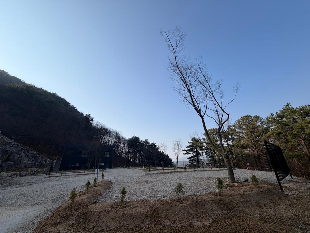 캠프 몽림