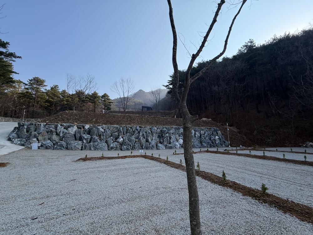 캠프 몽림