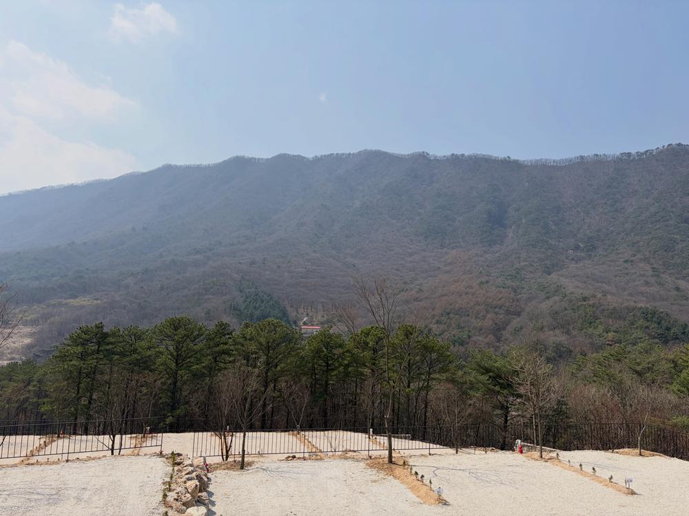 캠프 몽림