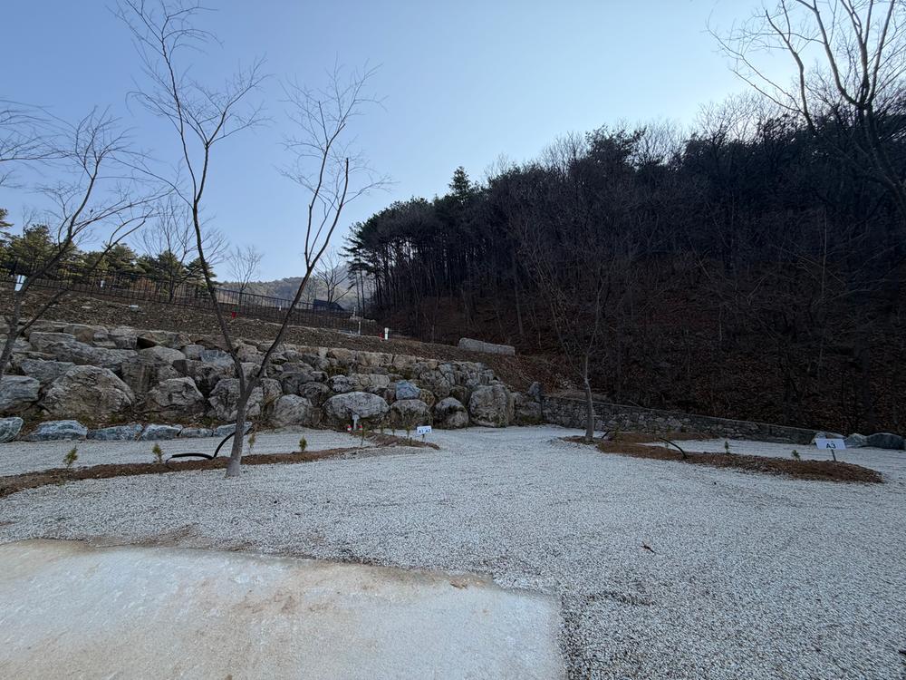 캠프 몽림