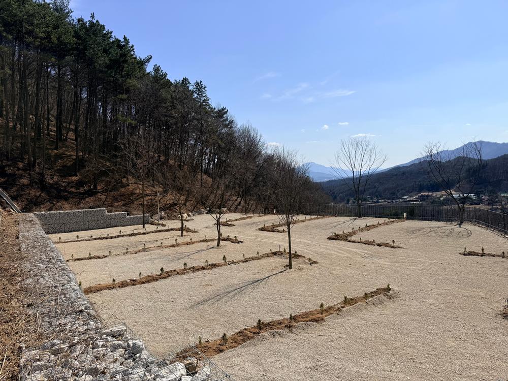 캠프 몽림