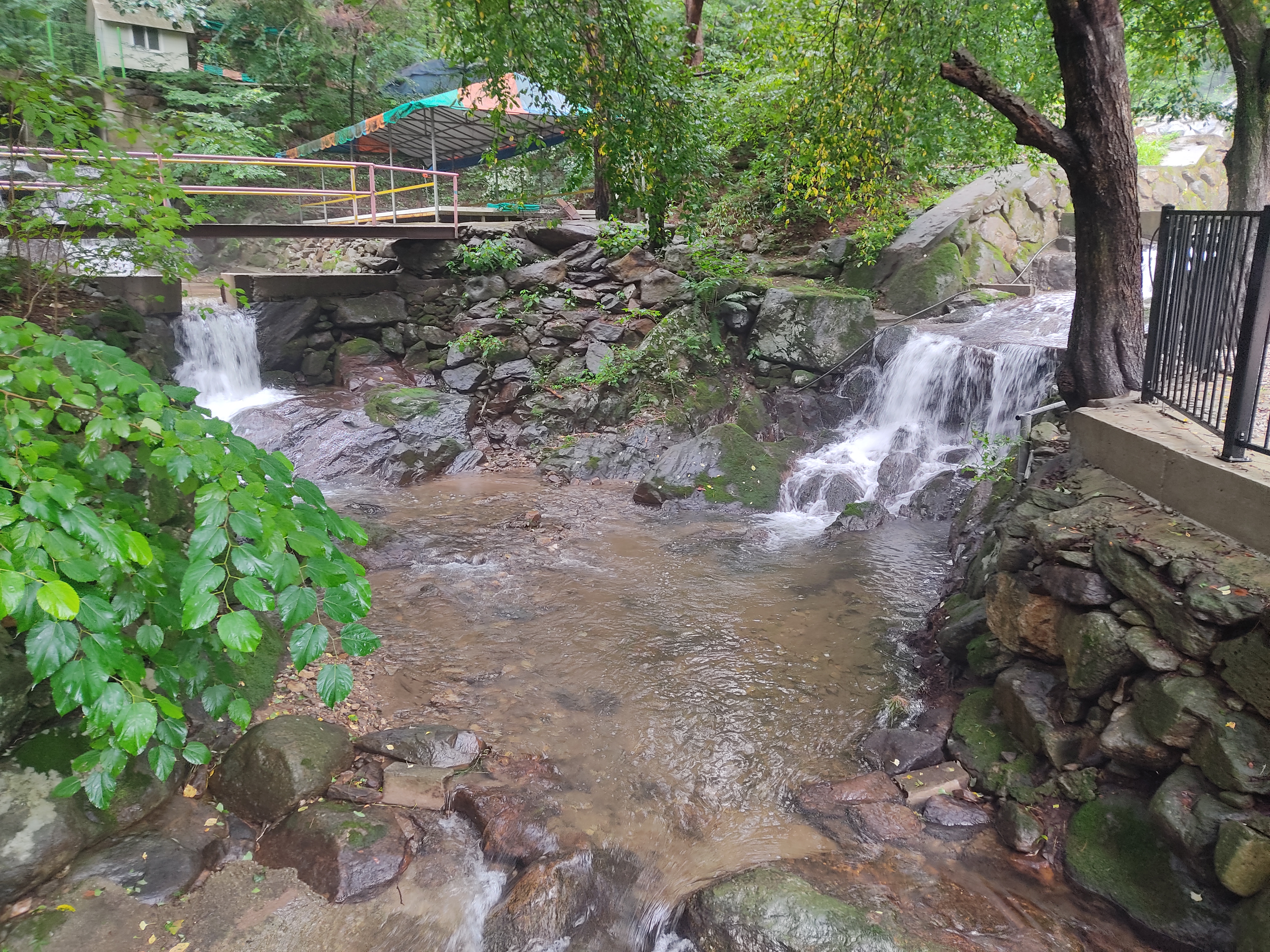 논배동산