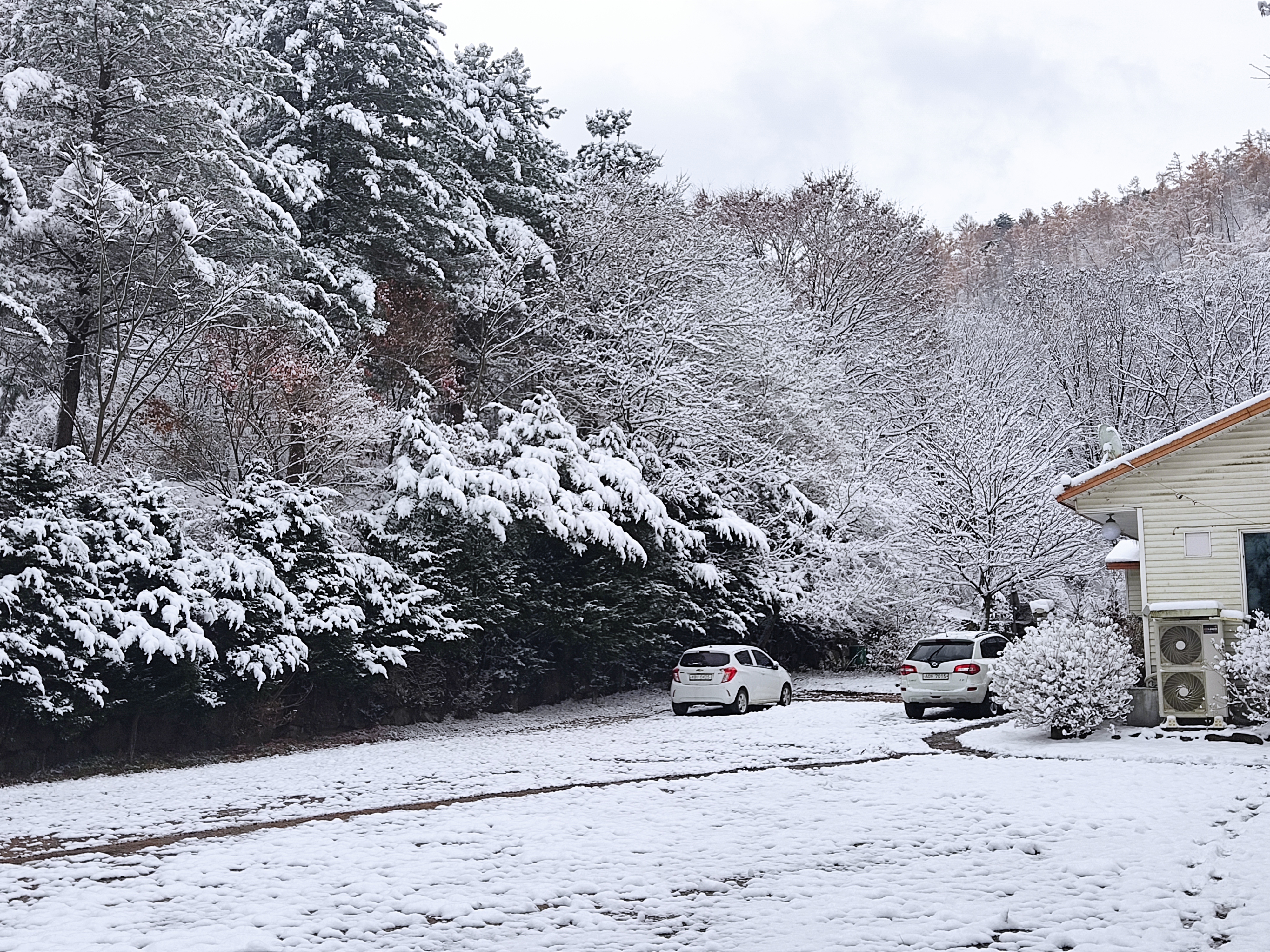 논배동산