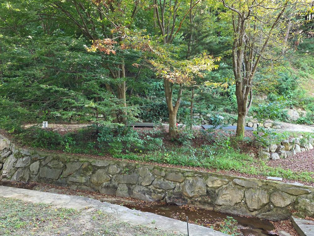 논배동산