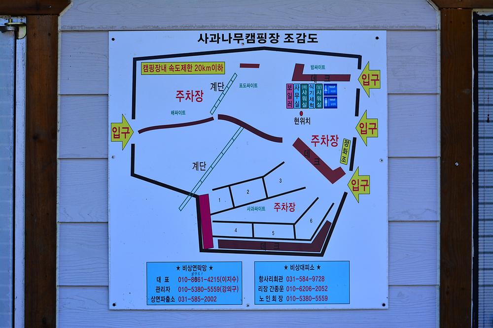 가평 사과나무 캠핑장