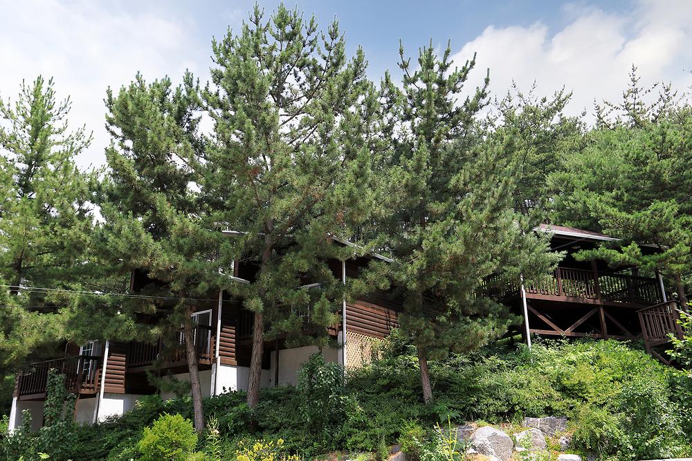 매화둠벙마을영농조합법인